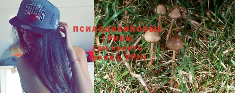 магазин    mega ссылка  Псилоцибиновые грибы Magic Shrooms  Лыткарино 